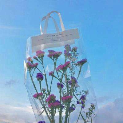 星空体育平台官网下载手机版截图