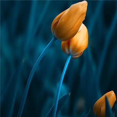 星空体育平台官网下载手机版截图